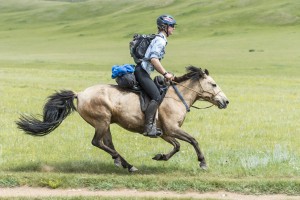 endurance rider Tips and Hints for Endurance Riding