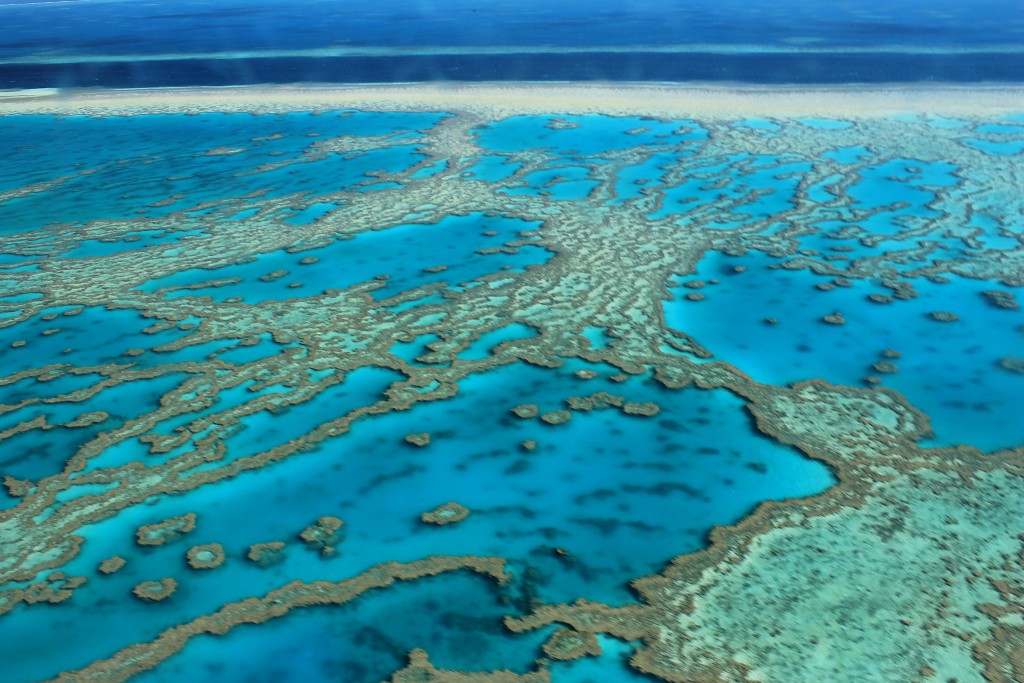 great barrier reef - one of the most endangered world heritage sites
