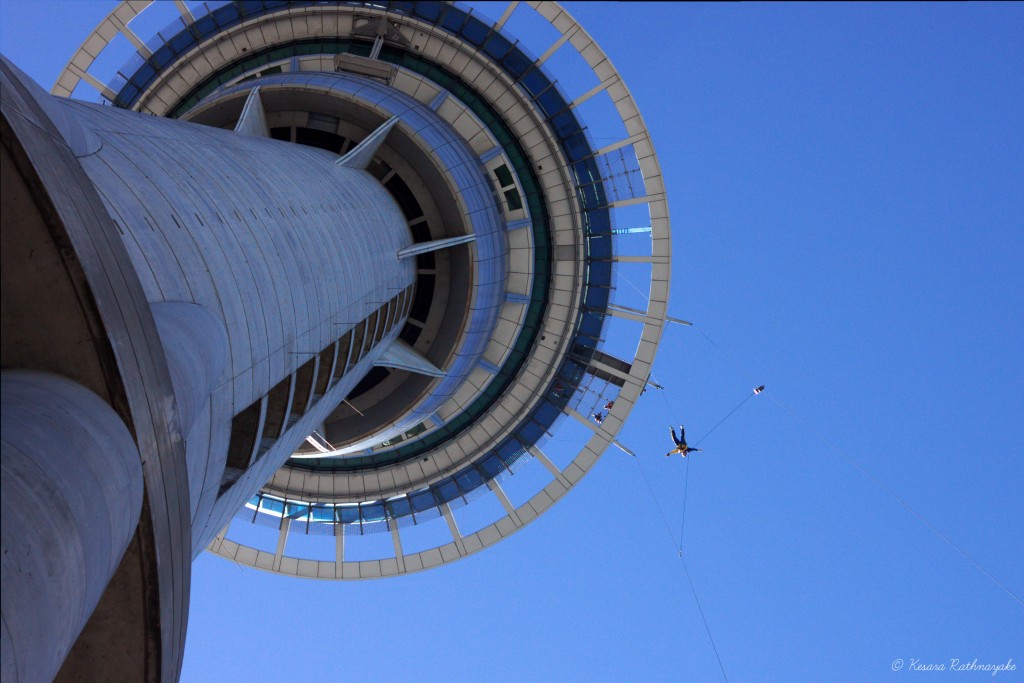 Bungee jump off a building