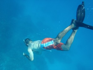 what is free diving