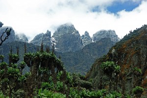 Rwenzori Mountains