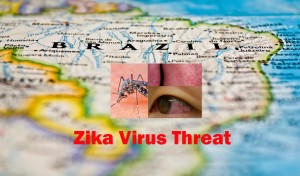 Zika virus threat