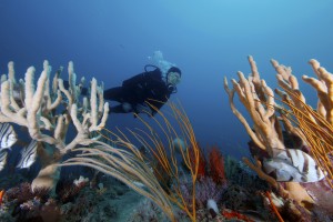 deep scuba diving