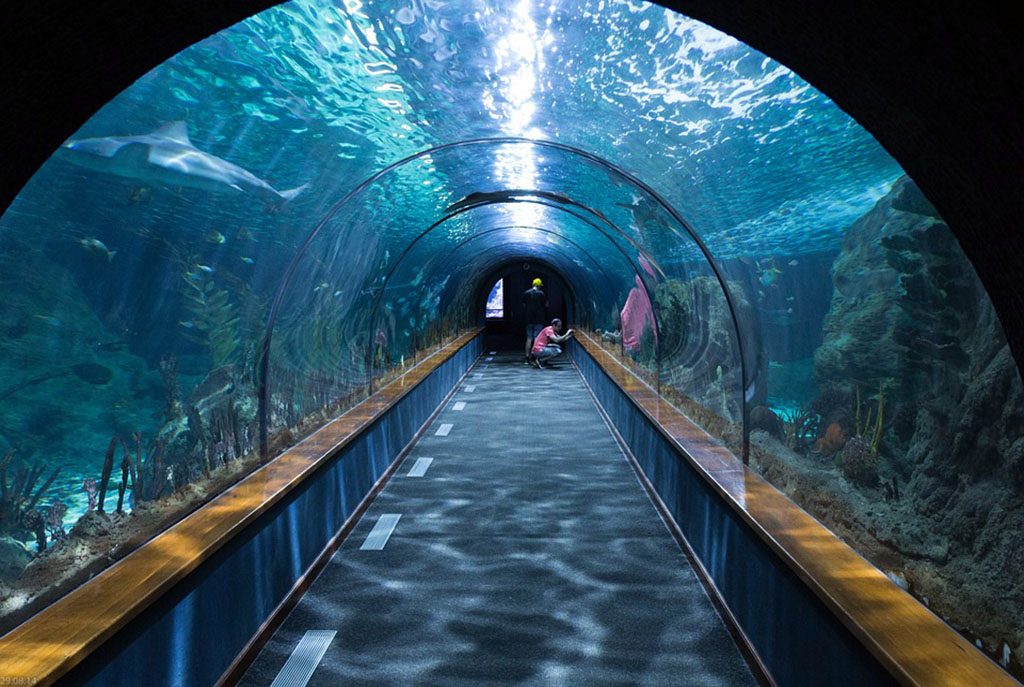 Face-scanning fish at Dubai airport will be in a tunnel like this one